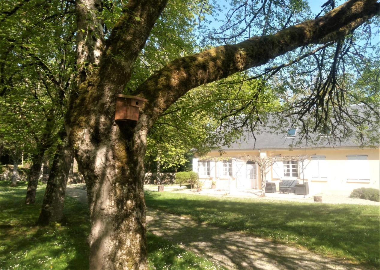 La Chapelle Du Chateau Lagarrigue Strenquels エクステリア 写真